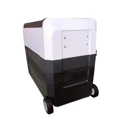 China Best Selling Low Noise Car Fridge AC DC Fridge Freezer Refrigerator For Camping Double Zone Car Fridge for sale