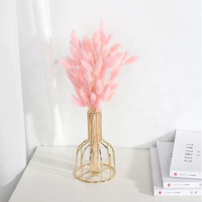 China Fashional Gift Wholesale Dried Natural Color Bunny Tails Dried Original Color Rabbit Tails Grass For Decoration for sale