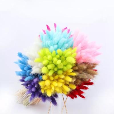 China Fashional Gift Good Quality Craft Rabbit Grass Coloful Bunch Braid Bunny Tail White Artificial Flowers for sale