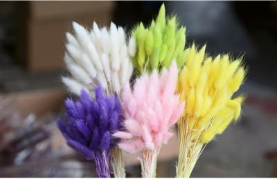 China Free Shipping Fashional Gift Plant Girl Dry Grass Flower Decoration Thatch Pin Rabbit Bunny Tail for sale