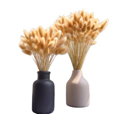 China Fashional Gift Top Grade Grass Dried Decoration Flower Lagurus Ovatus Plants Decor Bunny Tail Faux Bouquets for sale