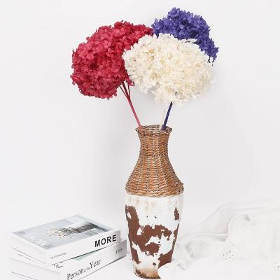 China Free Sample Hydrangea Flowers Real Touch Long Lasting Artificial Silk Flower Natural Everlasting Preserved Hydrangeas Hydrangea for sale