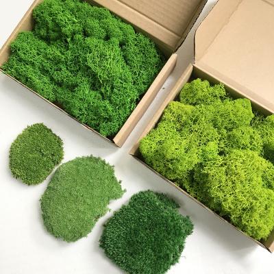 China Brand New Minimalist Artificial Green Grass Plant Stone Ball Reindeer Topiary Panels Preserved Moss Wall Handmade for sale