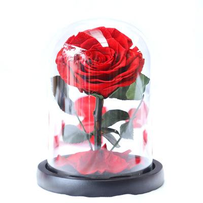 China Wholesale Cheap Valentine's Day Mini Preserved In Flower Heart Prince High Quality Low Price Glass Rose Dome Real Small for sale