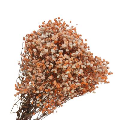 China Valentine's Day Gift Hot Selling Artificial Baby's Breath Flower A Grade Preserved 10 Piece 10 Pcs Gypsophila for sale