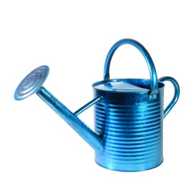 China Sleek METAL WATRING CAN GARDEN SPRAYER for sale