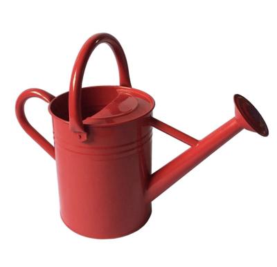 China Vintage Metal Indoor / Outdoor High Quality Kids Garden Watering Can for sale