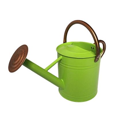 China Metal Color Indoor / Outdoor Power Coated Mini Cheap Watering Can for sale