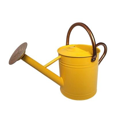 China Indoor/outdoor best quality new style cheap watering can for sale