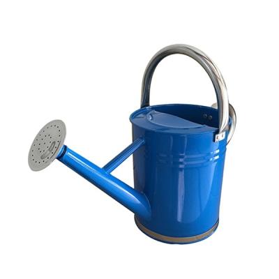 China Metal 2.5 Liter Metal Painting Watering Can for sale