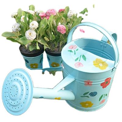 China Colorful hand painted metal garden watering can for sale