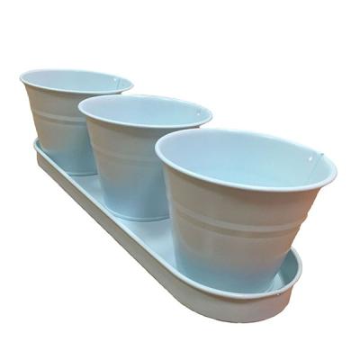 China Herb Garden CLASSIC Kitchen (Chocolate E) - 3 W Metal Container Tray for sale