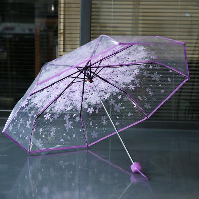 China Ladies 3 Umbrella Transparent Parasol Umbrella Pink Flowers Pattern Fold Umbrella for sale