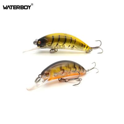 China WATERBOY Peche 2.0in 4g 0.1oz Mini Minnow Fishing Lure Colorful Realistic 3DS Plastic Reflective Classic Bait 5cm for sale