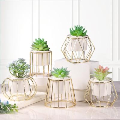 China Wholesale Minimalist Mini Diy Real Touch Plastic Small Fake Potted Artificial Decoration Succulent for sale