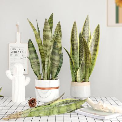 China Mini Small Artificial Faux Fake Sansevieria Modern Minimalist 110Cm Snake Plant Grass Trifasciata Agave Masoniana Succulent Bonsai for sale