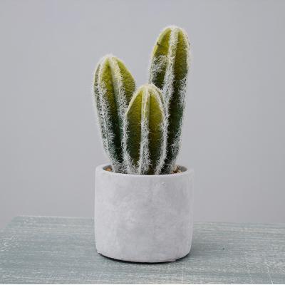 China Eco-Friendly Materials GX Amazon Best Selling Artificial Succulent Plants Potted Cement Succulent Plants for sale