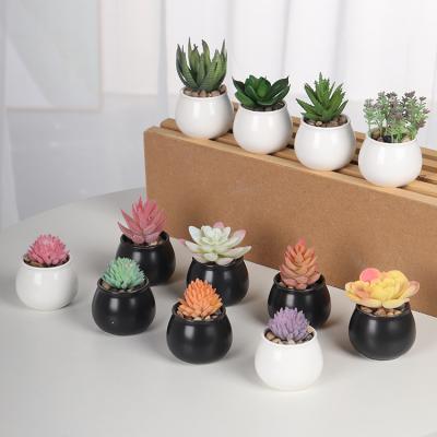 China Mini Plastic Artificial Fake Faux Cacti Plant Bonsai Wholesale Succulent Layout Simulation Minimalist GX Decoration Succulent Set for sale