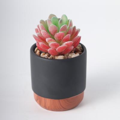 China Minimalist Wholesale Succulent Arrangement Plant Cactus Bonsai Plant Mini Plastic Artificial Fake Simulation Succulent Decoration Set for sale