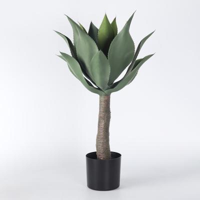 China Minimalist Indoor Green Outdoor Artificial Fake Aloe Vera Gel Agave Faux Plant Bonsai Tree for sale