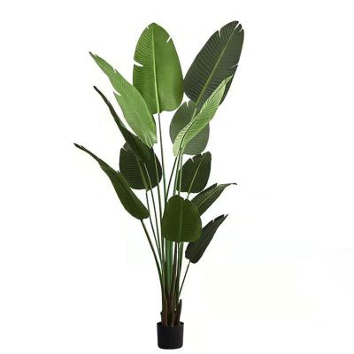 China Paradise Skybird Plant Tree Minimalist 90cm Silk Artificial Traveler Banana Bird for sale