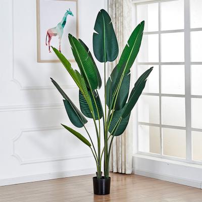 China Miniature Artificial Fake Traveler Skybird Tree Banana Tree Model Simulation 180Cm Indoor Plastic Wholesale Minimalist 160Cm Small for sale