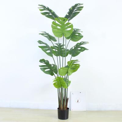 China Minimalist 180Cm Tall Plastic Decorative Artificial Faux Monstera Varigated Adinsoniai Leaves Leaves Potted Plant Monstera Tree for sale