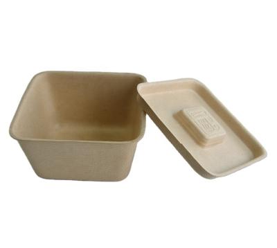 China Biodegradable Disposable Bagasse 3 Compartments Biodegradable Sugarcane Food Packaging for sale