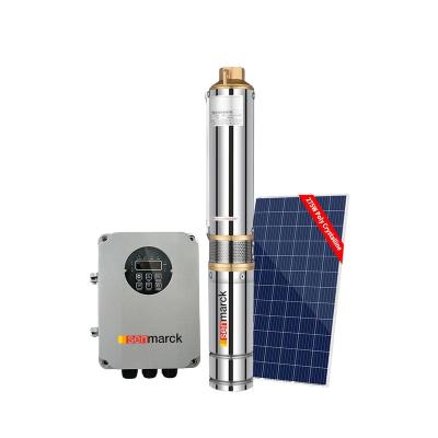 China Agriculture/Home Solar Powered Water Pumps With Panel 1hp 2 Acres Farm Irrigation Well Pumps Systems Solar Submersible Water Pump for sale