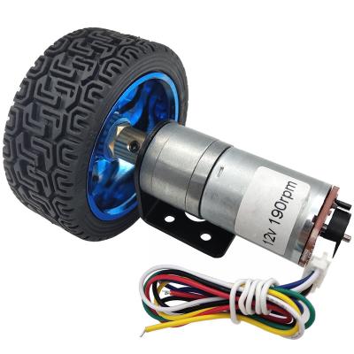 China 25mm Diameter JGA25-370 Smart Drip-proof High Torque Motor Car Assembly Wheel Diameter 65mm/85mm/130mm Tires Electric Encoder Motor Speed ​​Reducer Code for sale