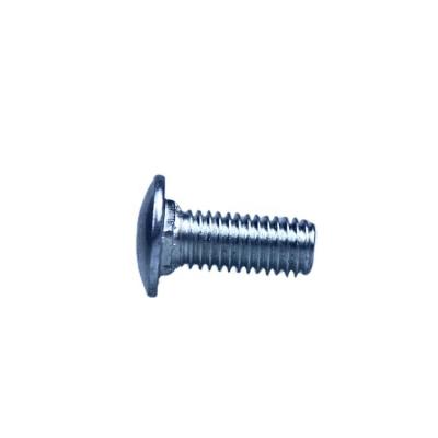 China HEX China Manufacturer Chrome Plated Mirror Head Screw Caps , 20mm Diameter Screw Fastener for sale