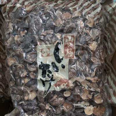 China Natürlicher trockener Shiitake-Massenpilz trocknete die organischen Shiitake-Pilze zu verkaufen