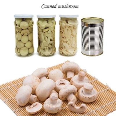 Κίνα Champignon κονσερβοποιημένες μανιτάρι φέτες μανιταριών Champing λαχανικών φρούτων προς πώληση