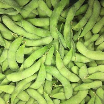 Chine l'usine de nourriture entière congelée d'Edamame Pods IQF de longueur de 4cm a basé une catégorie à vendre