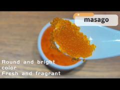 Masago Tobiko Capelin Fish Roe sushi flying fish roe Frozen Capelin