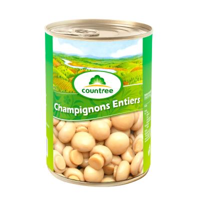 China Factory Price Canned Canned Food Canned Salted Vegetable Canned Mushroom for sale