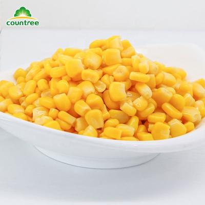 China Canned According To Customer Needs Supply All Kinds Of Canned Corn for sale