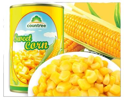 China High Quality Canned Sweet Corn Kernel Canned Corn for sale