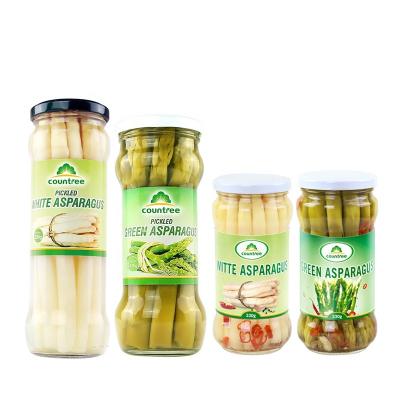 China Original Whole Fresh Asparagus Vegetables Instant White Canned White Asparagus Canned for sale