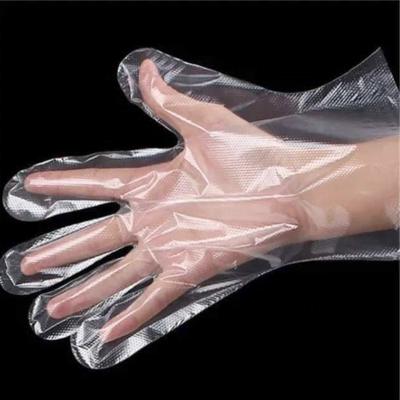 China HDPE Clear Color Glove Plastic Kitchen Polythene Clean Plastic Cleaning Gloves for sale