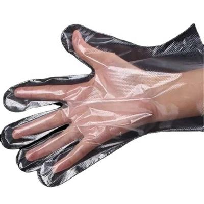 China Kitchen Cans Stuffed Gloves Food Film PE Cleaning Plastic Transparent Glove for sale