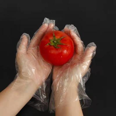 China Factory wholesale cheap HDPE salon pe transparent blue plastic glove waterproof food in box hand finger household kitchen gloves for sale