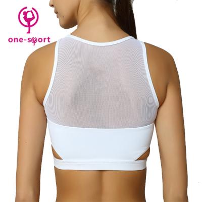 China Breathable Wholesale Popular Different Kinds Of Sports Wear , Sexy Women Picture Gym Yoga Wear for sale