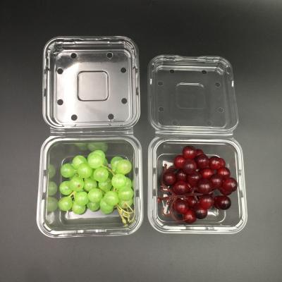 China Biodegradable Disposable Packing Box Transparent Plastic Fruit Crate REPT Box With Cover for sale