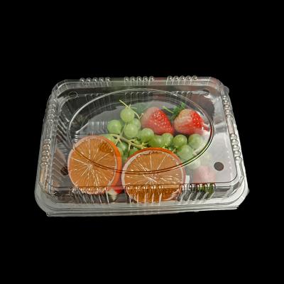 China Biodegradable Disposable Plastic Take Out Clear Rpet Container / Blister Box Pet Fruit Salad Packaging for sale