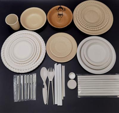 China 2021 Sustainable New Design Dinnerware Sets Biodegradable Bamboo Fiber Plastic Dinnerware for sale