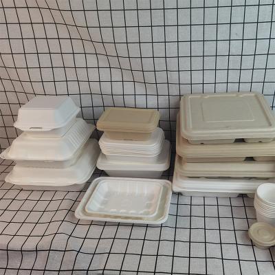 China Home Restaurant Bagasse Hotel Food Box 100% Biodegradable Sugar Cane Bagasse Bagasse Container for sale