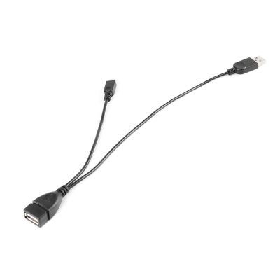 China Easy USB OTG Cable for Android TV Stick for sale