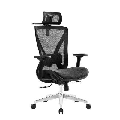 China (Height) Luxury Aluminum Mesh Adjustable Lumbar Mesh Office Chair Ergonomic Chair With Headrest for sale