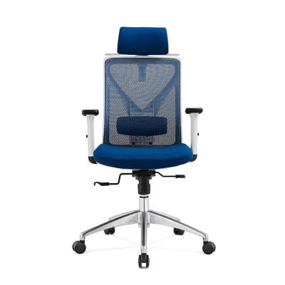 China Blue Mesh High Quality Swivel Office Swivel Chair With White Nylon Back Frame for sale